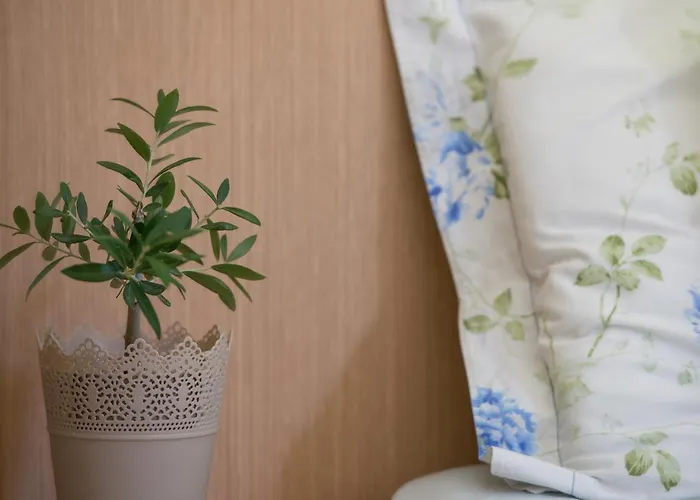 Niriides 3* 库佛斯港