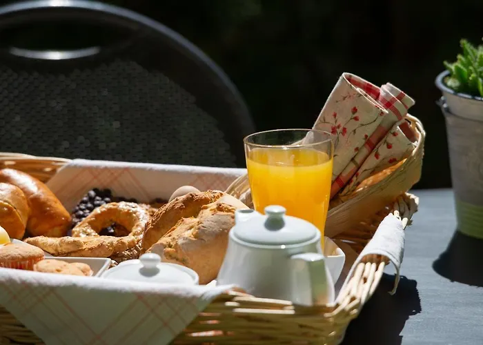 Niriides 3* 库佛斯港